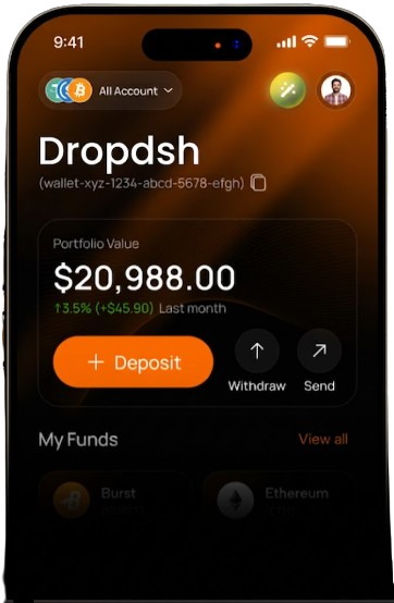 Dropdsh app interface